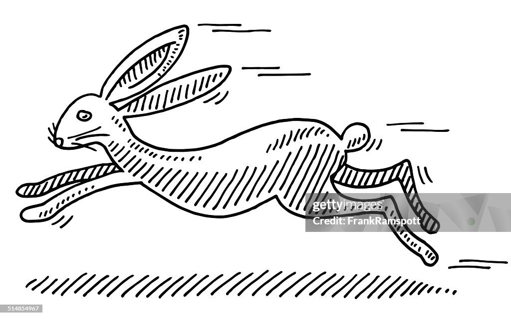 Fast Rabbit Drawing High-Res Vector Graphic - Getty Images