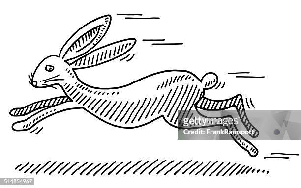 69 Rabbit Running Drawing High Res Illustrations - Getty Images