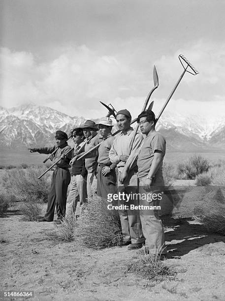 The morning after their arrival, Japanese American internees prepare to clear the land near the Manzanar War Relocation Center in Owens Valley,...