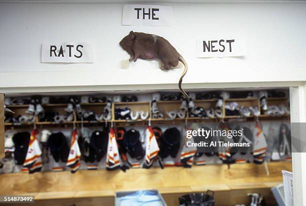 View of plastic rat affixed to wall and sign reading THE RATS NEST in Florida Panthers locker room before game vs Buffalo Sabres at Miami Arena....