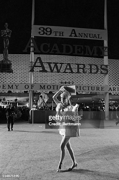 Actress Inger Stevens, in a short skirt outside the Academy Awards Ceremony in Santa Monica, covers her head with an Academy Awards program. 1967.