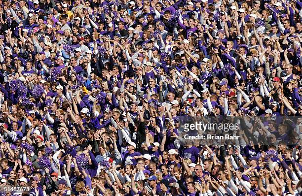 Kansas State Wildcats fans cheer their team as they take a lead on an interception against the Oklahoma Sooners in the third quarter on October 16,...