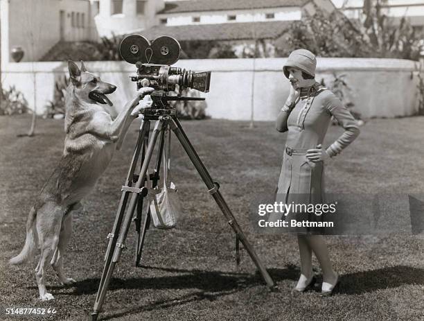 Flash, the MGM wonder dog, acts as cameraman for Louise Lorraine. Photo.