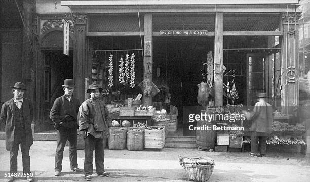 Chinese butcher and grocery shop in Chinatown, San Francisco, Calif. Photograph, ca. 1900. Taber Photo, San Francisco, CA.
