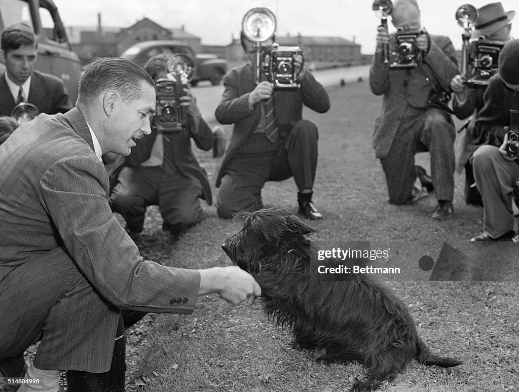 Franklin D. Roosevelt's Scottie, Fala, at a Press Conference