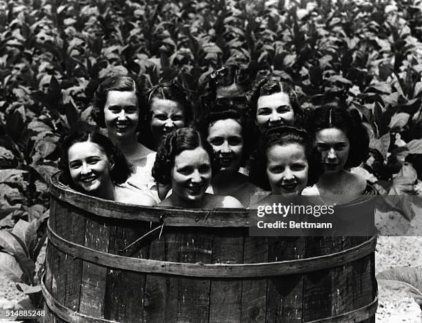 Contestants in the upcoming beauty pageant at the National Tobacco Festival stand naked in a large hickory barrel. South Boston City, Virginia. 1938....