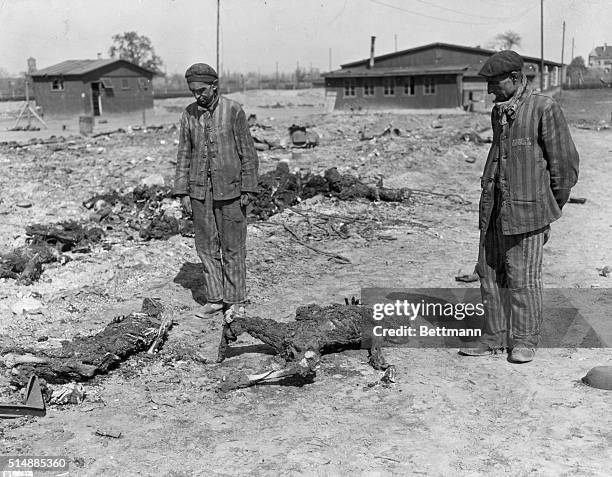 Survivors of a mass burning of 250 Polish and French slave laborers at a Nazi camp near Leipzig on April 19 viewing bodies of victims. Photograph,...