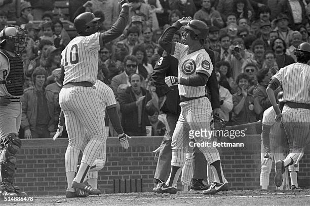 Chicago Cubs Ron Cey is welcomed at the plate after hitting a three run homer in the fourth inning of the Cubs-Pittsburgh Pirates game. Cey is...