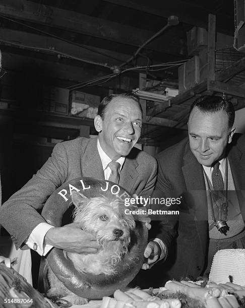 Shown with his co-star Frank Sinatra here is the Cairn terrier whose fondness for the concrete doughnut known as the bagel won him a featured role in...