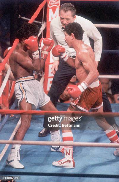 Wilfredo Gomez slams Lupe Pintor into the corner of the ring during their bout for the Super Bantamweight Championships of the World at the Louisiana...