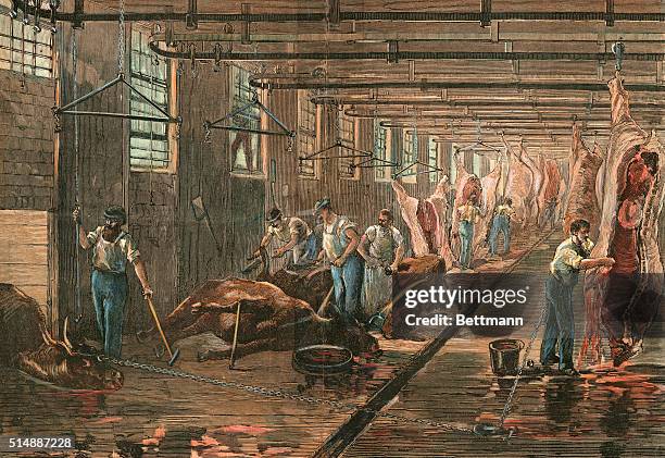 Typical dressing room in an American meat-packing house. This industry first developed conveying-belt methods.