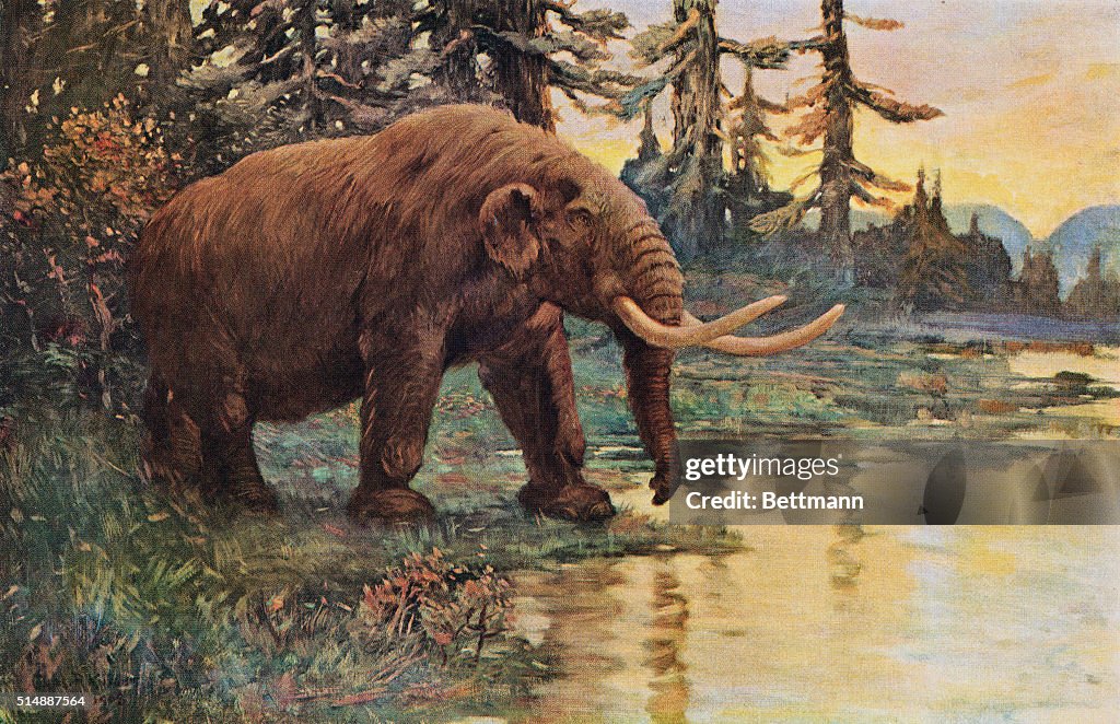 Illustration of Mastodon Walking Toward Lake
