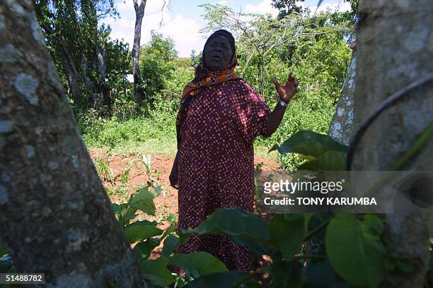 Sarah Obama, Grandmother of US Senate candidate for the state of Illinois, Barak Obama stands in her farm during an interview with AFP, 15 October...