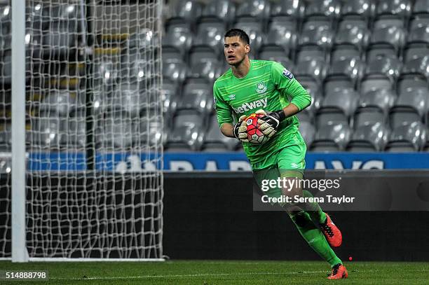 West Ham United Goalkeeper Raphael Spiegel holds the ball in two hands during the Barclays U21 Premier League Match between Newcastle United and West...