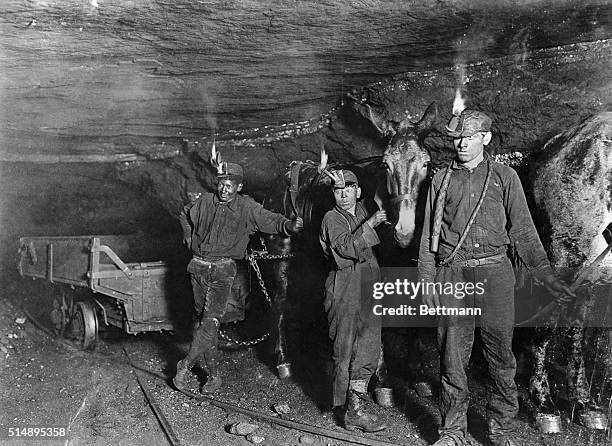 Mining Driver 97 Mine Mule Stock Photos, High-Res Pictures, and Images - Getty Images