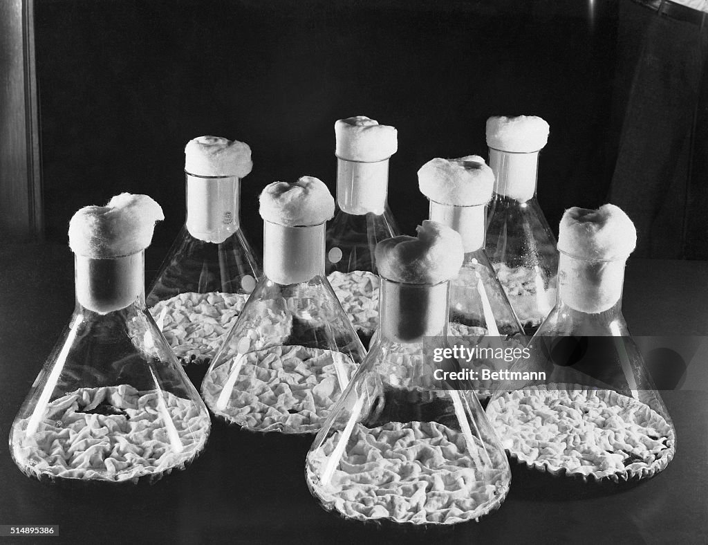 Flasks Of Charles Pfizer Co/Materials