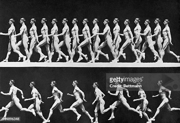 Motion study of an athlete on the march. Undated photograph by Eadweard Muybridge.