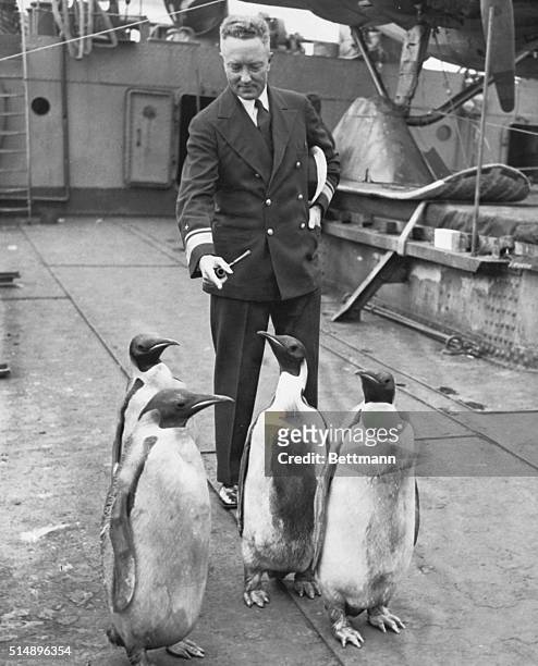 By way of returning the compliment which Admiral Byrd paid to their ice-bound diggings, these emperor penguins, from Little America, returned with...