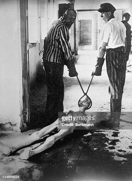 Two concentration camp inmates dragging a dead man along the floor.