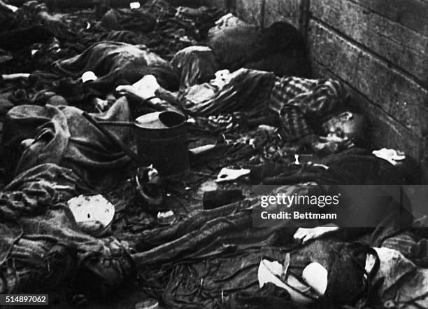 Dachau Concentration Camp: Close-up of bodies piled against a wall.