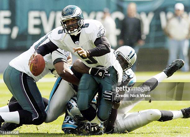 Panthers Mike Rucker Photos and Premium High Res Pictures - Getty Images