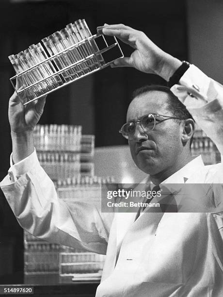 Dr. Jonas E. Salk, who developed the polio vaccine evaluated in the Francis Report, in his laboratory at the University of Pittsburgh. Dr. Salk's...