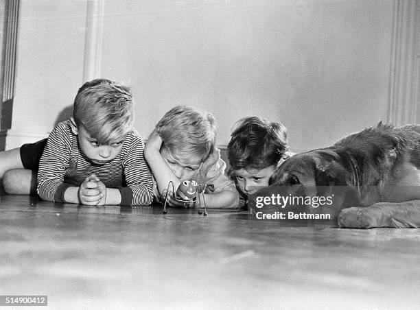 Children Watching Mechanical Spider