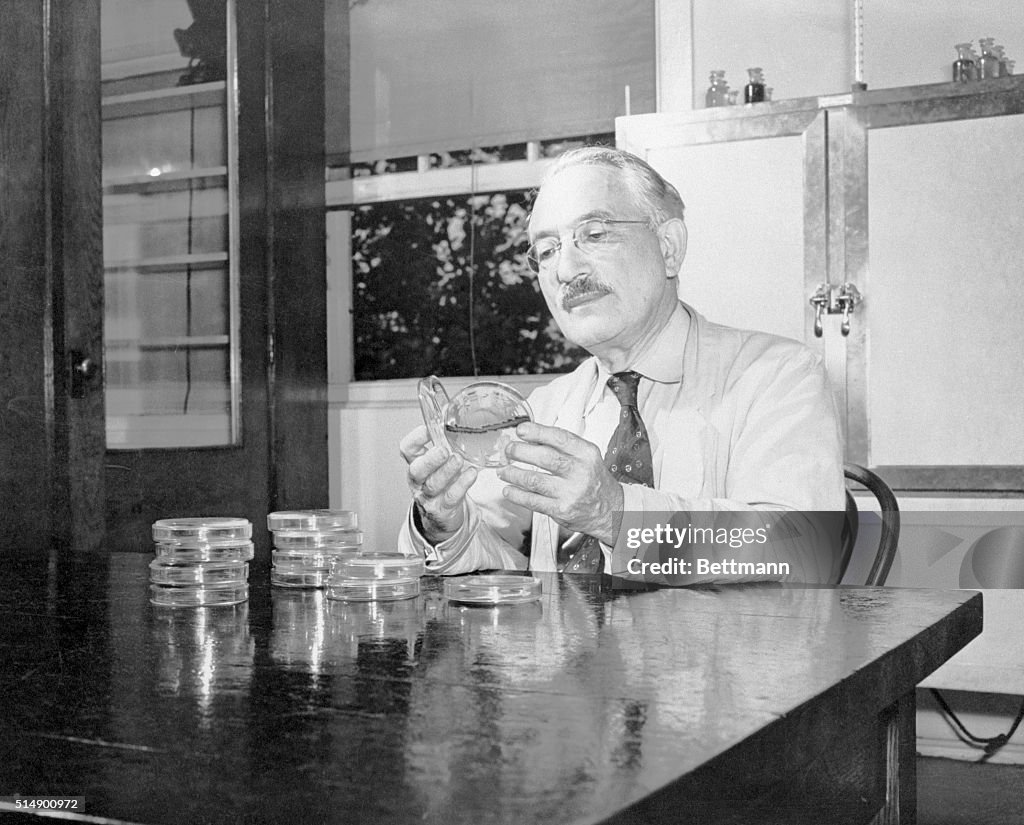 Dr. Selman Waksman in Rutgers University Lab