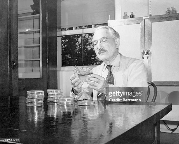 New Brunswick, NJ- Dr. Selman A. Waksman shown at work in his Rutgers University laboratory, was awarded the Nobel Prize for Medicine and Physiology...