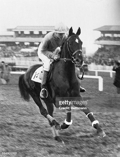 Battleship, entry in the Grand national, to be run at Aintree, Liverpool, England.