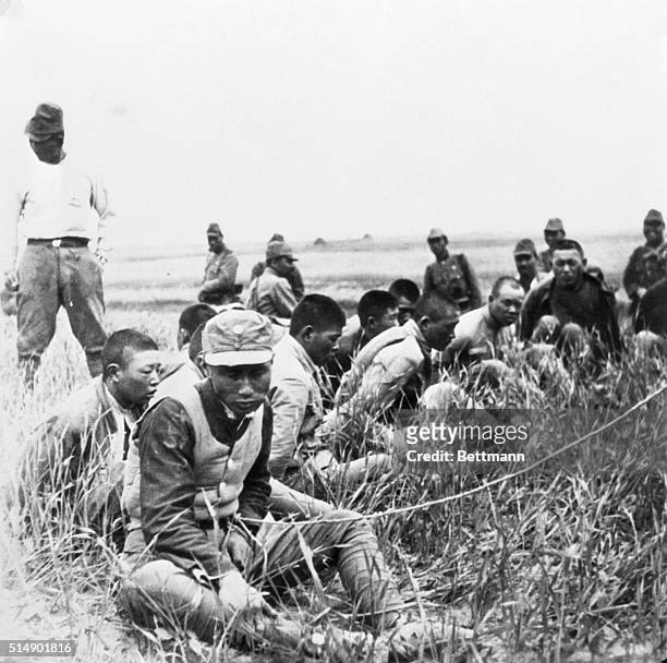 In order to discourage the Chinese defenders, Japanese Army officials are said to have ordered the execution of all prisoners taken. The war in the...
