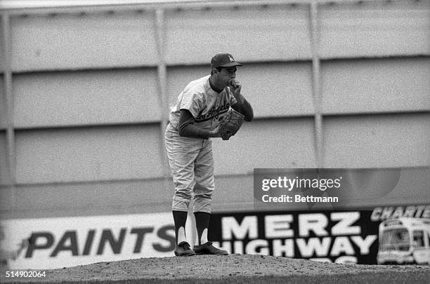 The cool weather didn't stop Los Angeles star pitcher Sandy Coufax, as he warms his pitching hand, then after several innings against the Phillies,...