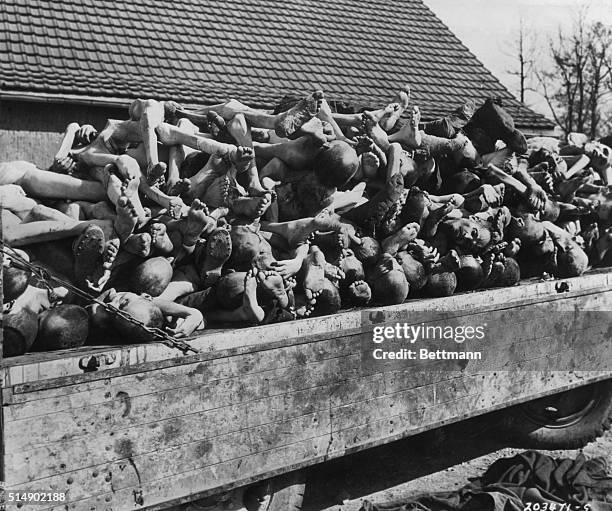 UNBURIED NAZI CONCENTRATION CAMP VICTIMS DISCOVERED BY LIBERATING AMERICAN ARMY NEAR CAMP BUCHENWALD. PHOTOGRAPH, 1945.