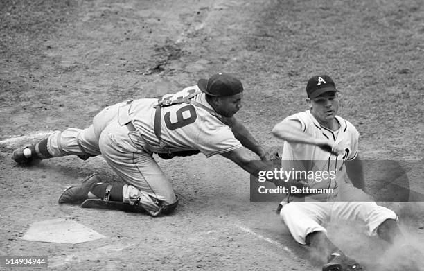 Detroit, MI: Ferris Fain of the A's is a dead duck as he tries to score from third on Chico Carrasquel's pop fly single in the 2nd inning of the...