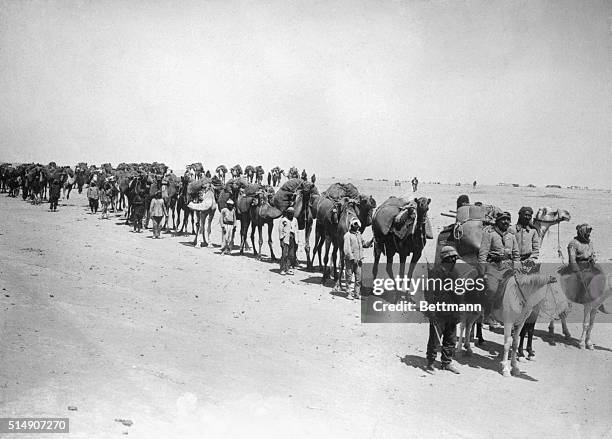 Rachnya, Syria- A Druse caravan carrying off loot from the city of Rachnya in Syria which was under siege for four days by the Druse. A small force...