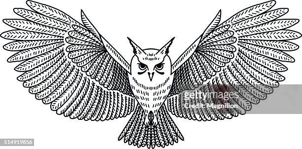 illustrations, cliparts, dessins animés et icônes de chouette vecteur vol - owl