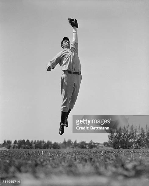 Beating all the rest of the New York Yankee baseball squad to the training camp site here, Joe Dimaggio, the 21 year old Pacific Coast outfielder...