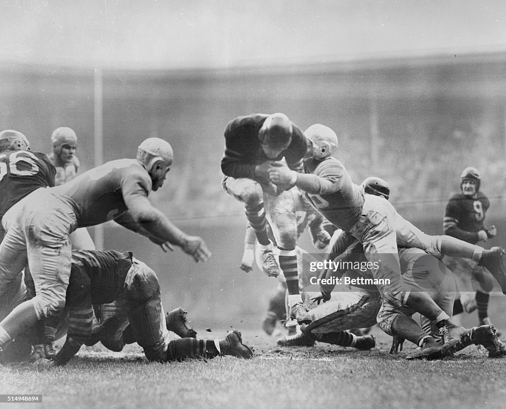 Bears and Lions Football Players in Action