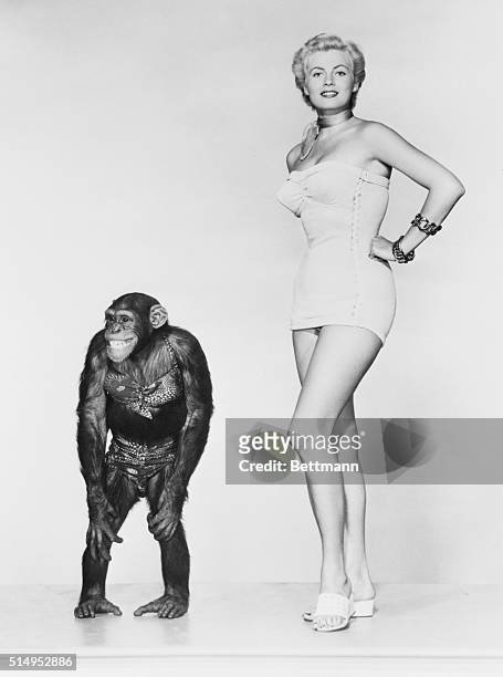 Hollywood, California: Go Ahead And Laugh! Entering Bonzo, the chimpanzee of the movies, in a bathing beauty contest, swim suit and all, is even too...