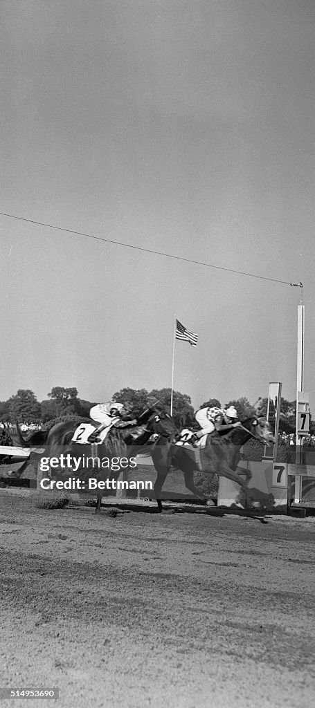 Horses Running in A Race
