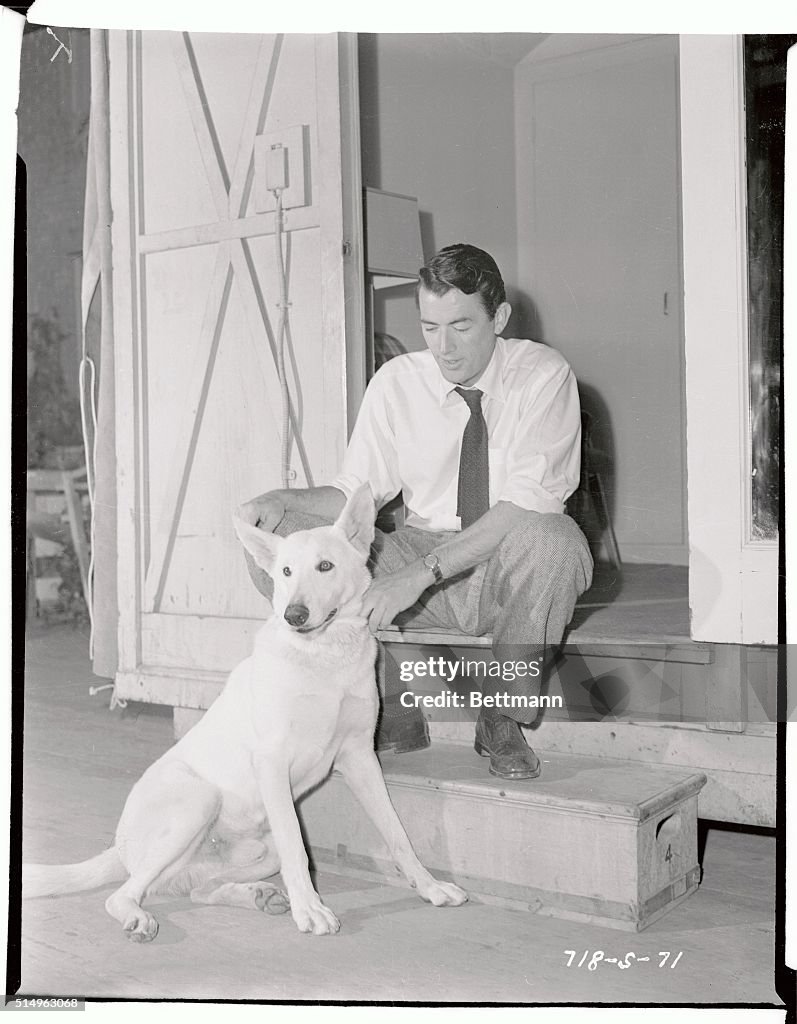 Gregory Peck with His Dog, Slip