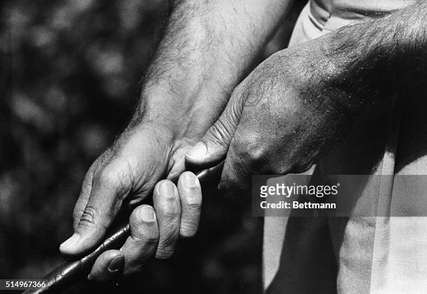 The hands of famed golfer Ben Hogan are shown here in a brand-new putting grip, closely resembling a ballplayer's grip on the bat. Hogan, switching...