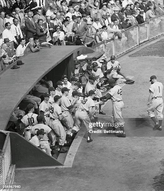 Fellow-Dodgers are greeting Jackie Robinson of the Brooklyn Dodgers, as he returned to the dugout after slapping out a homer on the first pitch to...