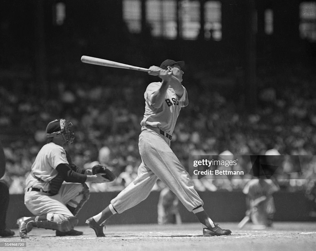 Profile of Ted Williams Playing Baseball Game