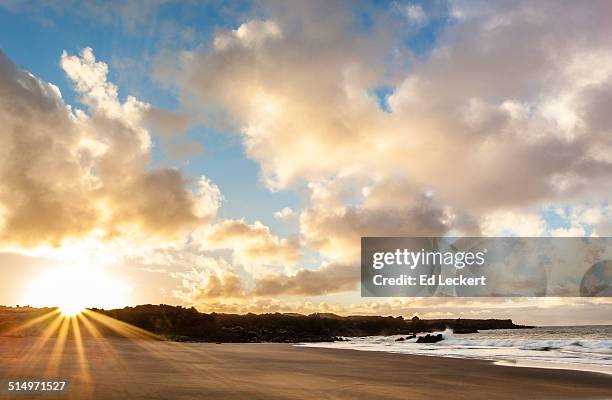 golden beach sunset - leckert stockfoto's en -beelden