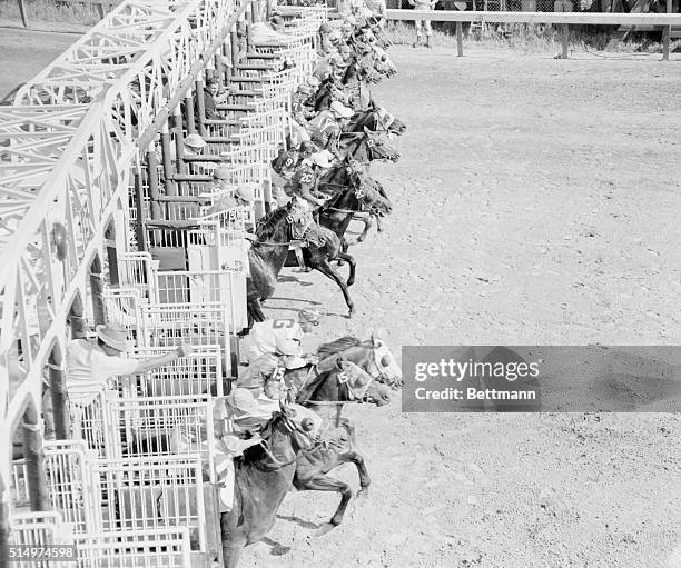 Field of 17 horses break from the starting gate as the 82nd running of the Kentucky Derby gets underway here. Needles, a Florida-bred horse, came...