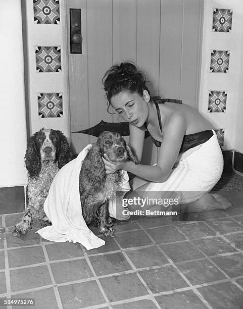 Elizabeth Taylor, the 17-year-old star of MGM studio who skyrocketed to film fame as a child star in such animal epics as National Velvet and Lassie...