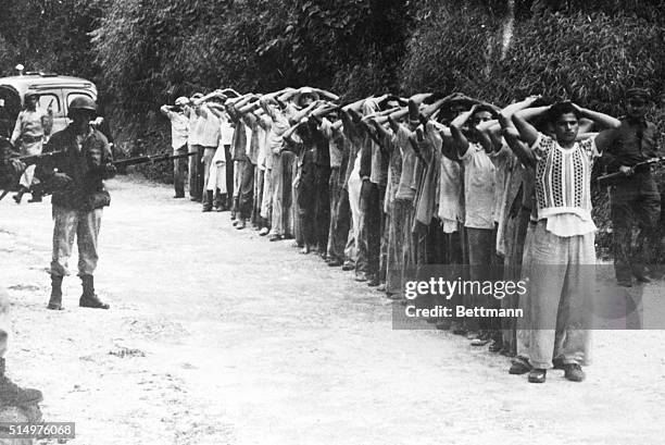 Jayuya, Puerto Rico- Members of Puerto Rico's National Guard are shown standing guard over a group of Nationalists, after flushing them from the...