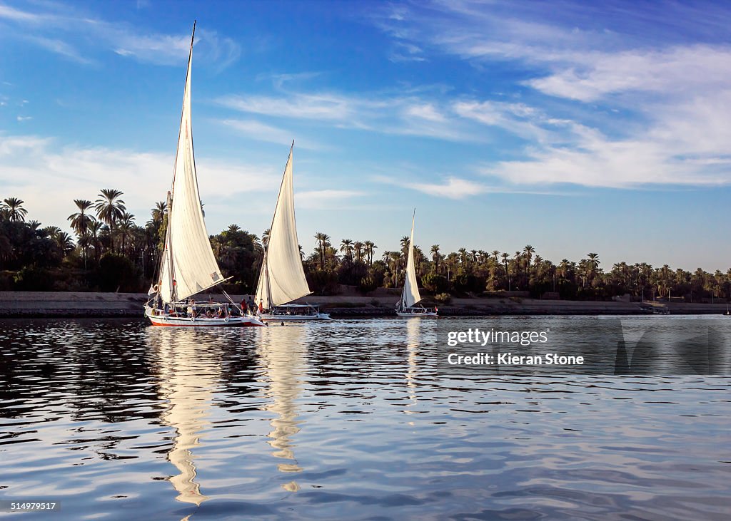 Felucca boats on the River Nile