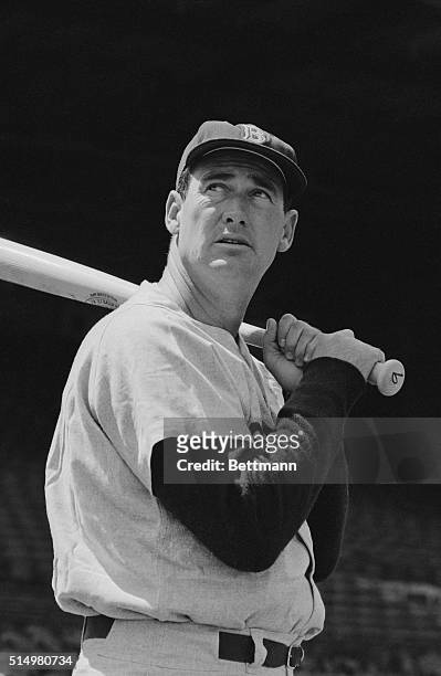 Red Sox batting star Ted Williams, who has been sidelined since the opening of the baseball season with a pinched nerve, holds a bat here, as he...